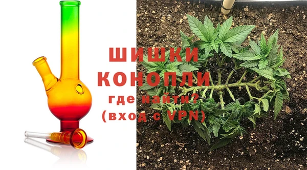 индика Армянск