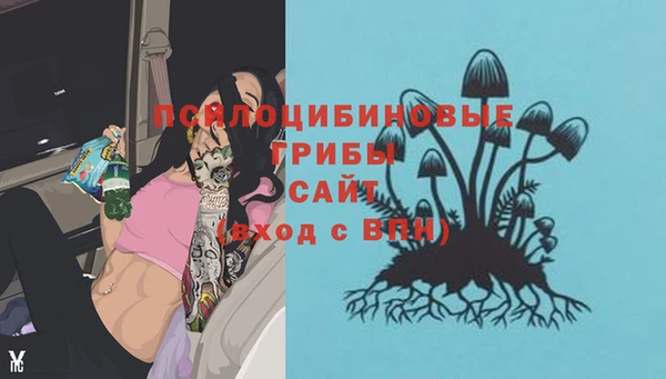 индика Армянск