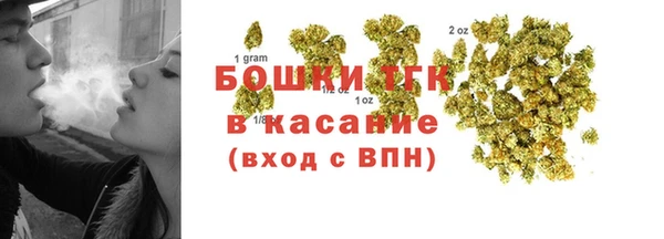 индика Армянск