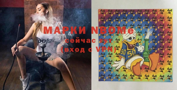 индика Армянск