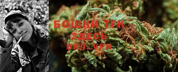 индика Армянск
