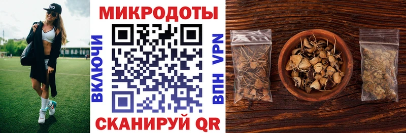 где продают   Перевоз  Псилоцибиновые грибы мухоморы 