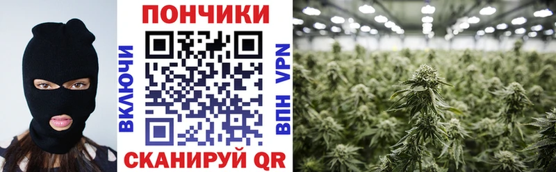 Конопля AK-47  Перевоз 